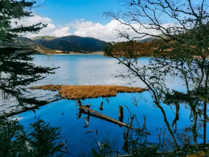 WagonBet Kasino Mobilna aplikacija